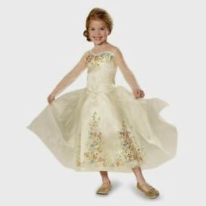 LIVE ACTION CINDERELLA WEDDING DRESS